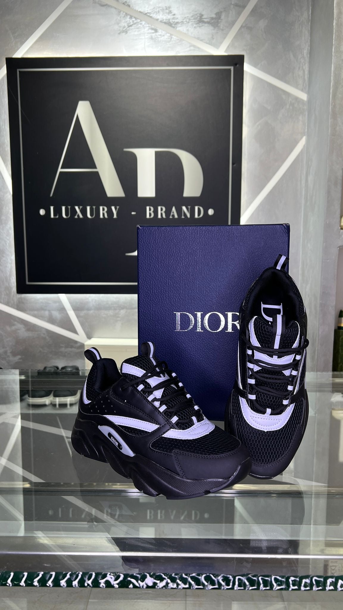 DIOR B22